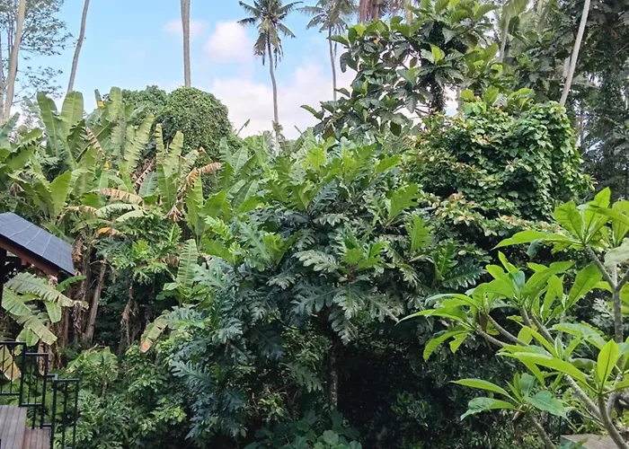Jagadhita Sekembang 山林小屋
